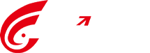 VSPORTS胜利因您更精彩(中国)智能科技股份有限公司